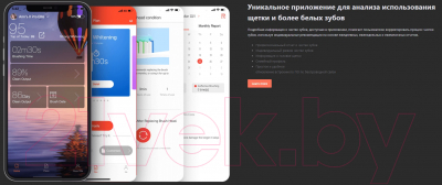 Изображение товара Звуковая зубная щетка Oclean X Pro Elite Y2087 (серый)