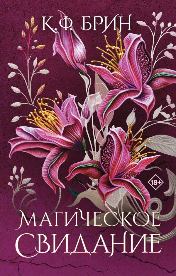 Художественная книга АСТ Магическое свидание / 9785171460648 (Брин К.)
