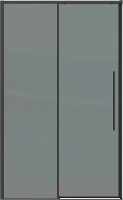 Душевая дверь Grossman Galaxy 100x195 / 100.K33.01.100.21.10 (черный матовый,стекло тонированное)