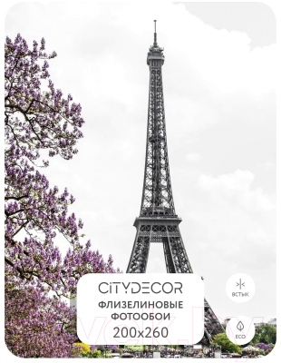 Фотообои листовые Citydecor Города и Архитектура 43 (200x260см)