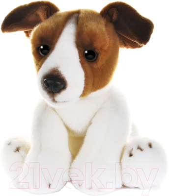 Мягкая игрушка Maxitoys Собака Джек Рассел / MT-TS112306-25