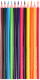 Набор цветных карандашей Erich Krause Safari / 61814 (12цв) - 