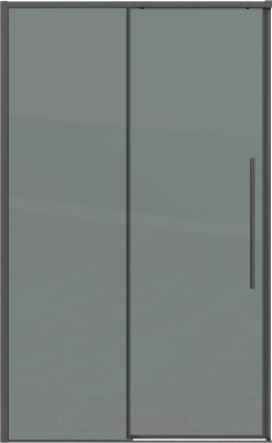 Душевая дверь Grossman Galaxy 100x195 / 100.K33.01.100.42.10 (графит сатин/стекло тонированное)