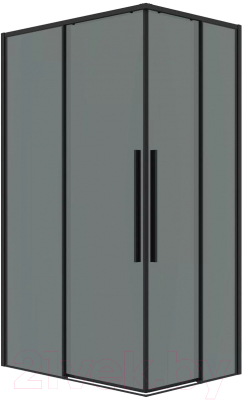 Душевая дверь Grossman Galaxy 120x195 / 1/2.K33.01.12.21.10 (черный матовый/тонированное стекло)