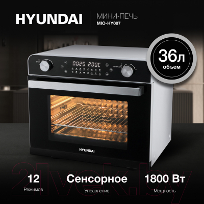 Ростер Hyundai MIO-HY087  (серебристый/черный)