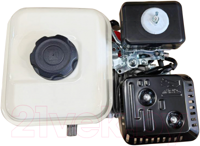 Изображение товара Двигатель бензиновый Rossel 170F