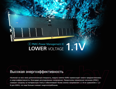 Оперативная память DDR5 Silicon Power SP032GBLVU480F02