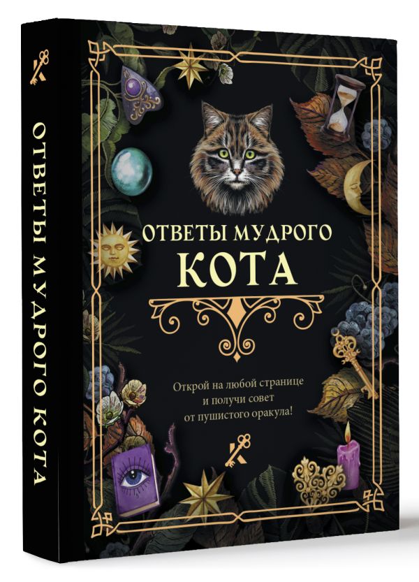 Нехудожественная книга АСТ Ответы мудрого кота / 9785171608286 — фото 2
