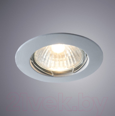 Точечный светильник Arte Lamp Praktisch A2103PL-1GY