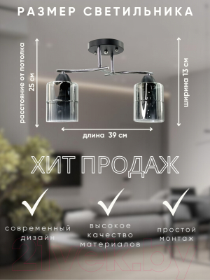 Потолочный светильник Aitin-Pro НПБ 02-2x60-101 / 9071/2 (черный/хром)