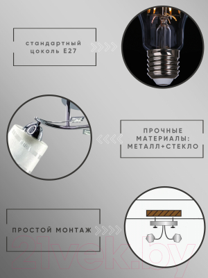 Потолочный светильник Aitin-Pro НПБ 02-2x60-101 / 9074/2 (хром)