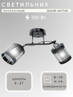 Потолочный светильник Aitin-Pro НПБ 02-2x60-101 / 9096/2 (черный/хром) -