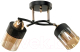 Миниатюра изображения товара Потолочный светильник Aitin-Pro НПБ 02-2x60-101 / 9131/2 (золото/черный)