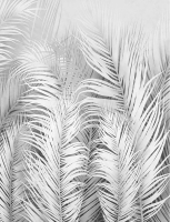 Фотообои листовые Citydecor Пальмовые листья Air 74 (200x260см) - 