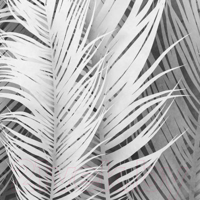 Фотообои листовые Citydecor Пальмовые листья Air 74 (200x260см)