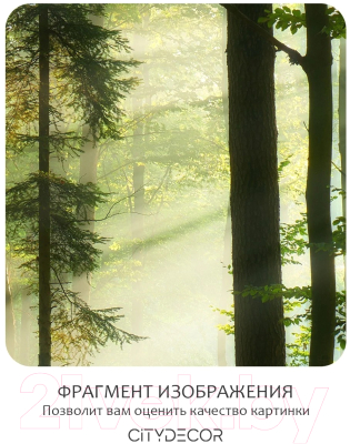 Фотообои листовые Citydecor Природа 28 (200x260см)