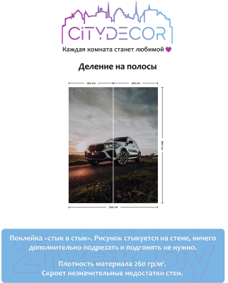 Фотообои листовые Citydecor Транспорт 150 (200x260см)