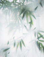 Фотообои листовые Citydecor Цветы и Растения 153 (200x260см) - 