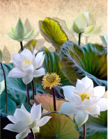 Фотообои листовые Citydecor Цветы и Растения 163 (200x260см) - 