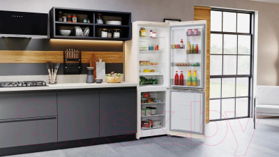 Холодильник с морозильником Hotpoint HT 4180 AB