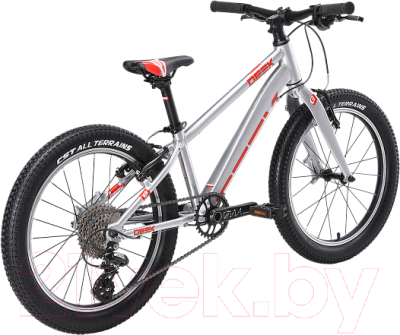 Детский велосипед STARK Geek 20 2024 (10, лакированный алюминий/красный)