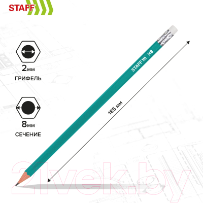 Набор простых карандашей Staff Everyday Blp-grn / 181941 (50шт)