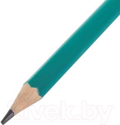 Набор простых карандашей Staff Everyday BLP-963 / 880431 (36шт)
