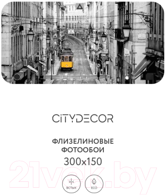 Фотообои листовые Citydecor Города и Архитектура 51 (300x150см)