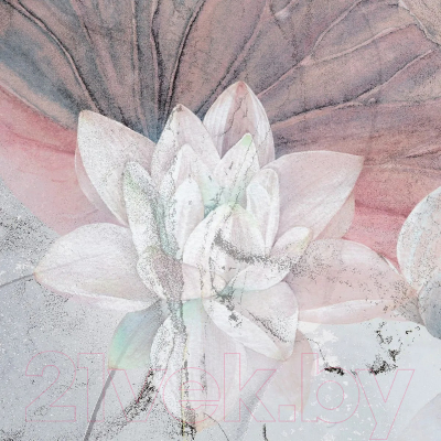 Фотообои листовые Citydecor Blossom 22 (300x150см)