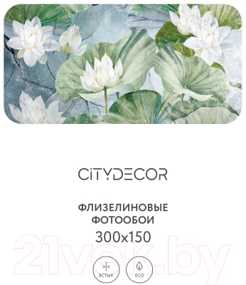 Фотообои листовые Citydecor Blossom 26 (300x150см)
