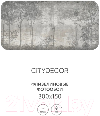 Фотообои листовые Citydecor Dark Side 34 (300x150см)