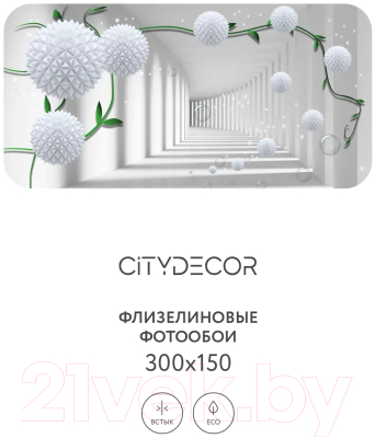 Фотообои листовые Citydecor Абстракция 201 (300x150см)