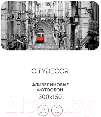 Фотообои листовые Citydecor Города и Архитектура 53 (300x150см)