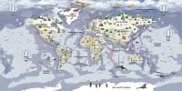 Фотообои листовые Citydecor Детская Карта мира 340 (300x150см) - 