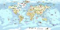 Фотообои листовые Citydecor Детская Карта мира 343 (300x150см) - 