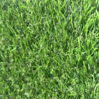 Искусственная трава Bellinturf Jasmin 304 30мм (1x0.5м) - 