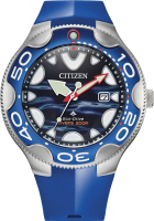 Часы наручные мужские Citizen BN0238-02L - 