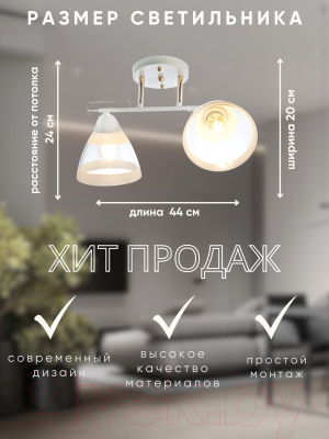 Потолочный светильник Aitin-Pro НПБ 02-2x60-101 / 9164/2 (золото/белый)