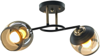 Потолочный светильник Aitin-Pro НПБ 02-2x60-101 / A3615/2 (черный/золото) - 