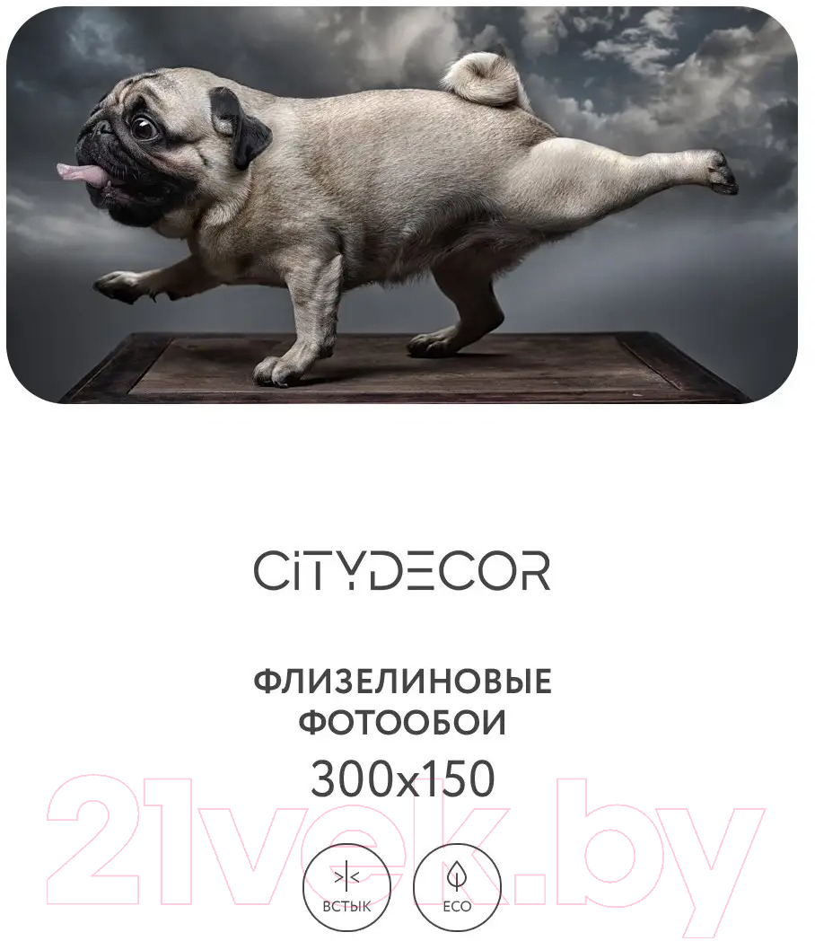 Фотообои листовые Citydecor Животные и Птицы 13