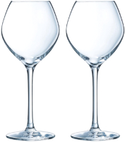 Набор бокалов Gipfel Wine Elegance 51140 (2шт) - 