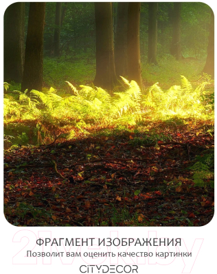 Фотообои листовые Citydecor Природа 28 (300x150см)