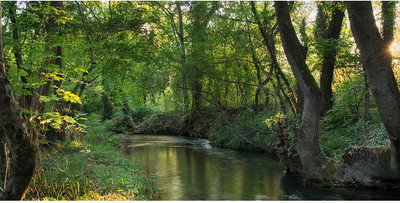 

Фотообои листовые, Природа 93