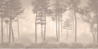 Фотообои листовые Citydecor Таинственный лес 10 (300x150см) - 