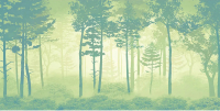 Фотообои листовые Citydecor Таинственный лес 11 (300x150см) - 