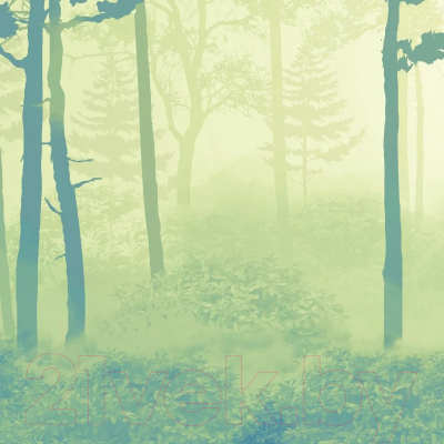 Фотообои листовые Citydecor Таинственный лес 11 (300x150см)