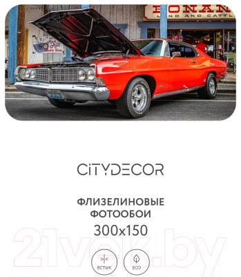 Фотообои листовые Citydecor Транспорт 149 (300x150см)