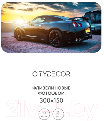 Фотообои листовые Citydecor Транспорт 26 (300x150см)