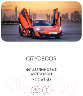 Фотообои листовые Citydecor Транспорт 5 (300x150см)