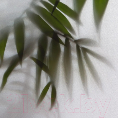 Фотообои листовые Citydecor Цветы и Растения 158 (300x150см)